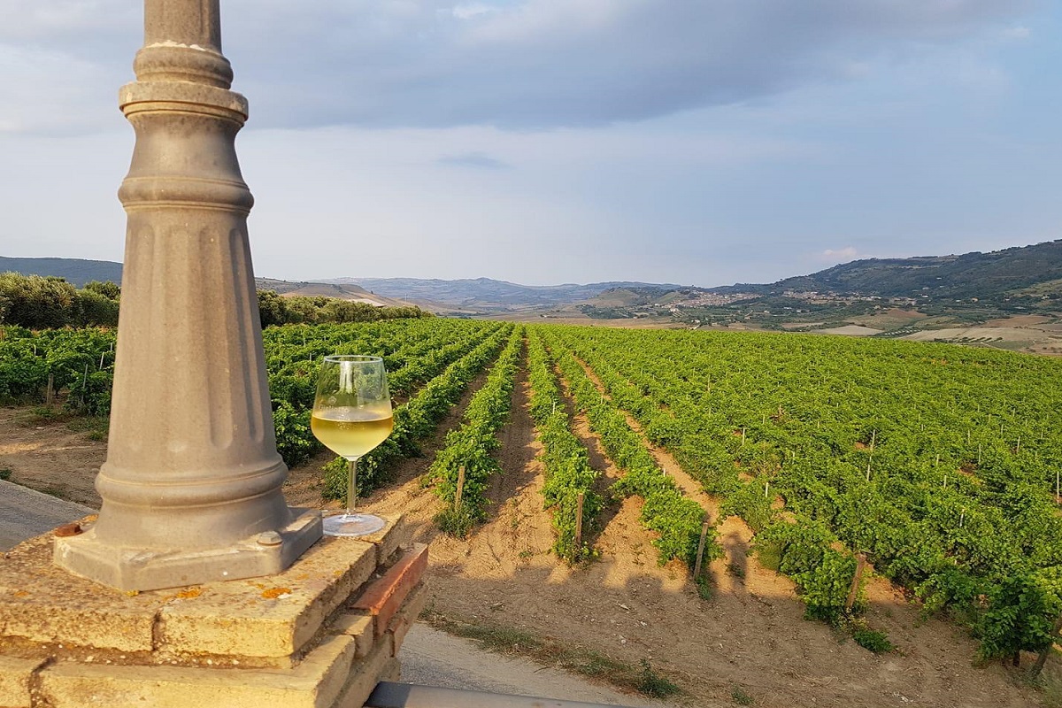 Eventi e degustazioni: immergiti nel mondo del vino siciliano a Gigliotto